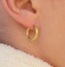 ion-plated hoop øredobber  thumbnail